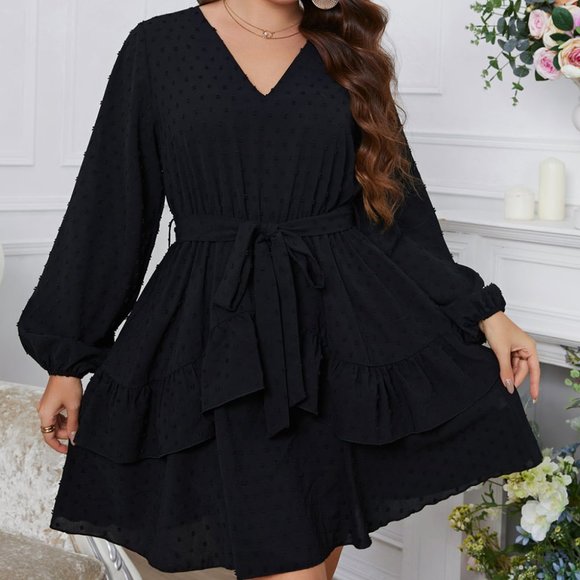 Melo Apparel Plus Size Swiss Dot Tie Waist V-Neck Dress - Picture 3 of 10